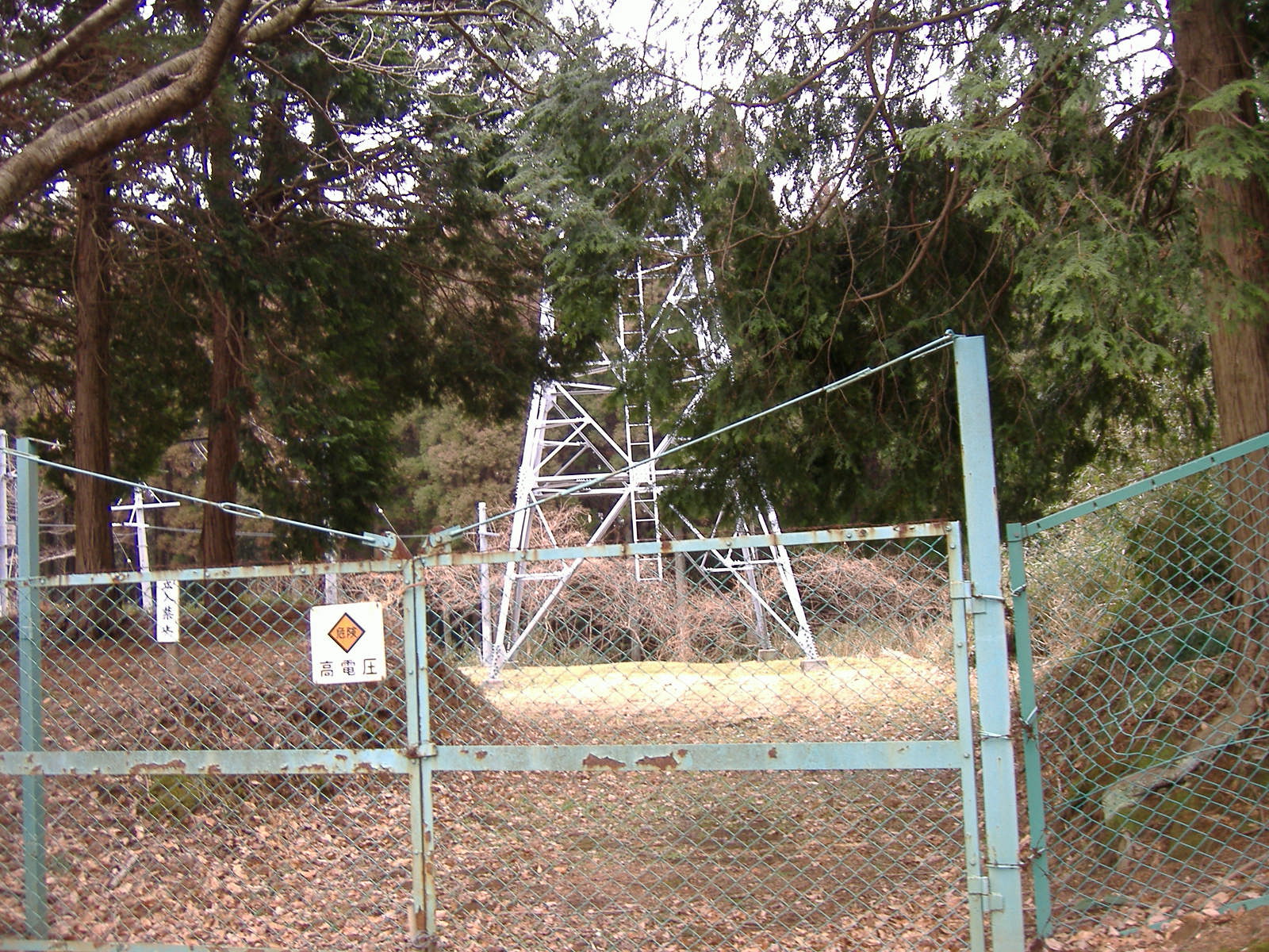 NIKKEI
