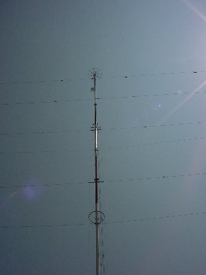 qbbs