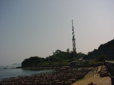 qbb