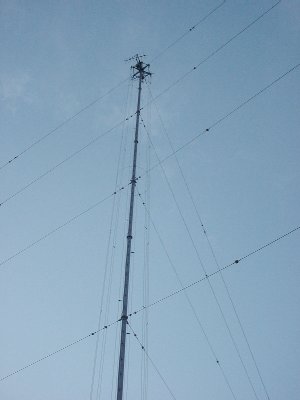 qbb