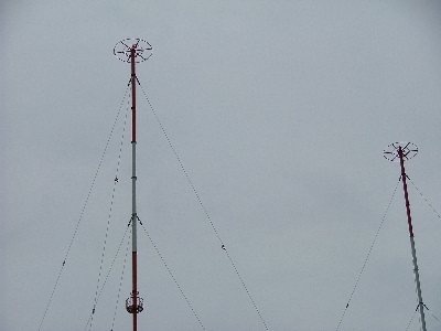 �q�j�j�e�r