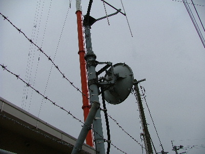 �q�j�j�e�r