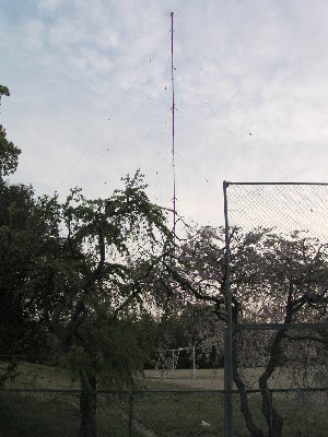 qmaR