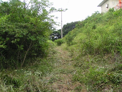 qma䑑