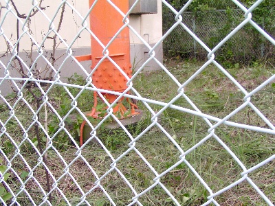 qma䑑