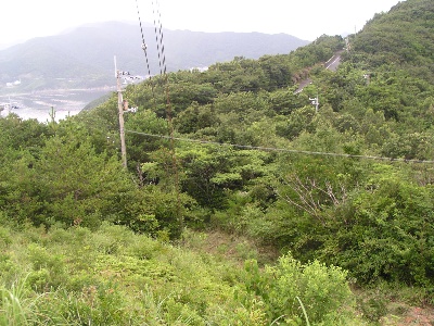 qma䑑
