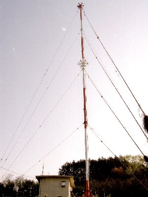 qmaF
