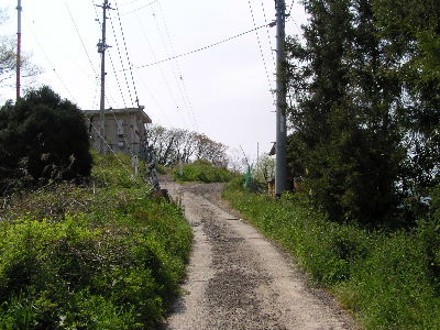 qmaFa