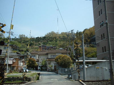 qmal