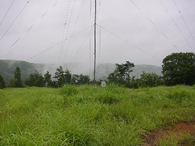 qrjO