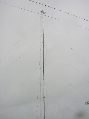 qrjO