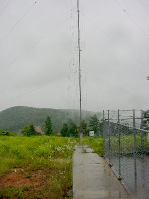 qrjO
