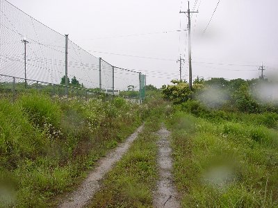 qrjO