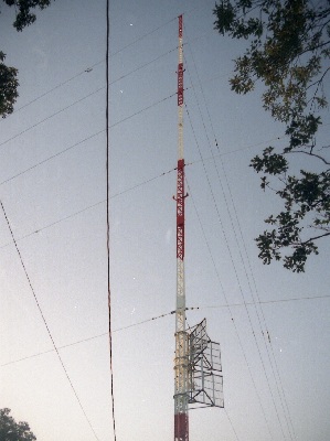 qrj}