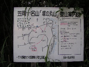 qrj}