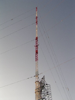 qrj}