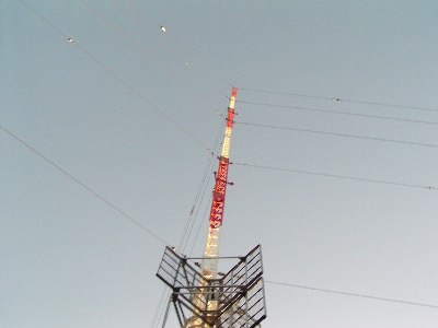 qrj}