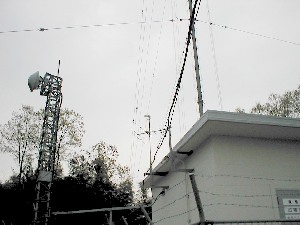 qrjÎR