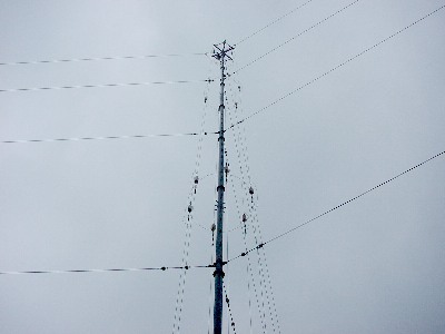 qrj