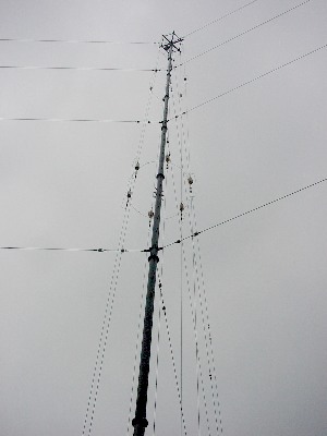 qrj