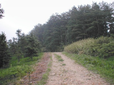 qrj