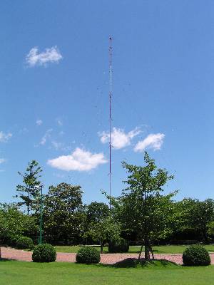 qrjR