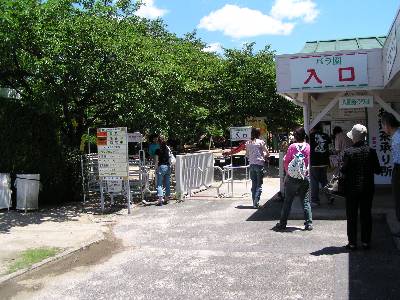 qrjR
