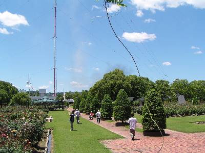 qrjR