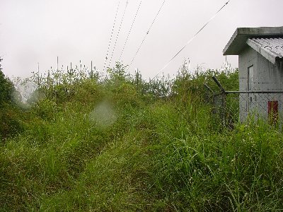 qrj