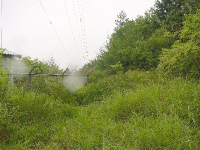 qrj