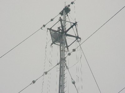 qrj
