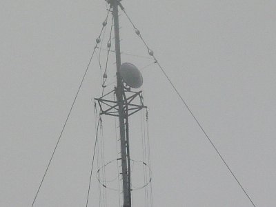 qrj