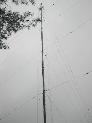 qrj