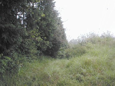 qrj