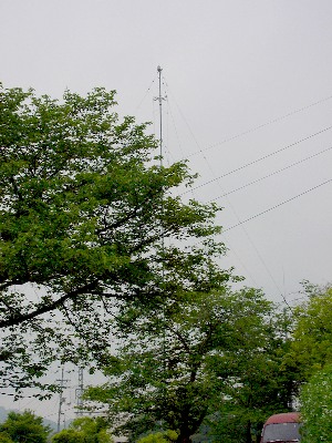 qrjÎR