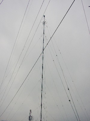 qrjÎR