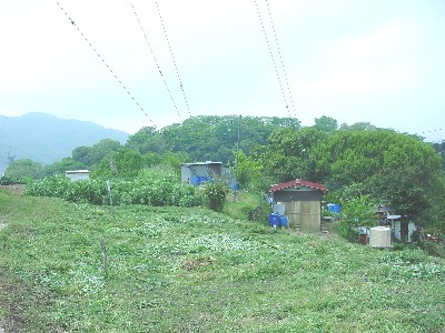 qrjÎR