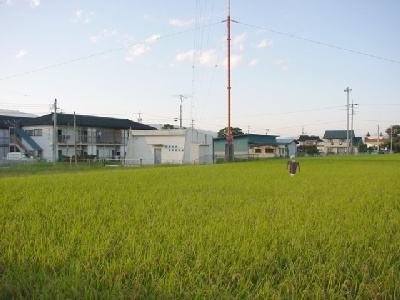 rabɓ