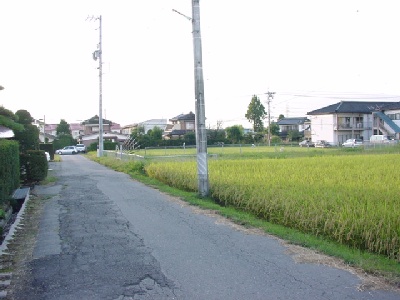 rabɓ