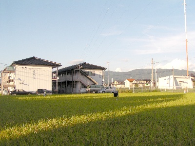 rabɓ