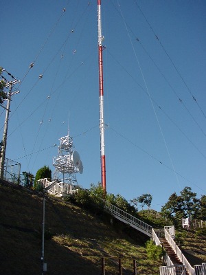 rarl