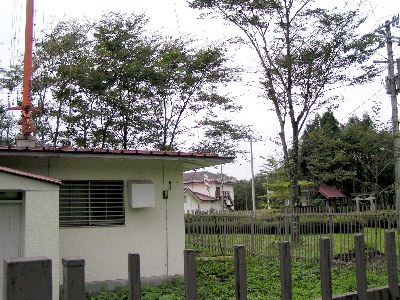 sabq