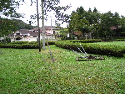sabq