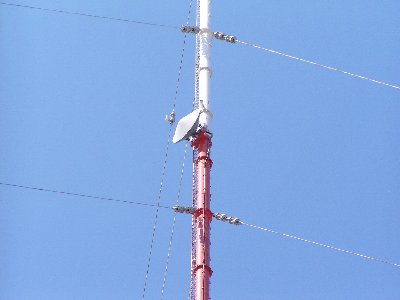 sar˓c