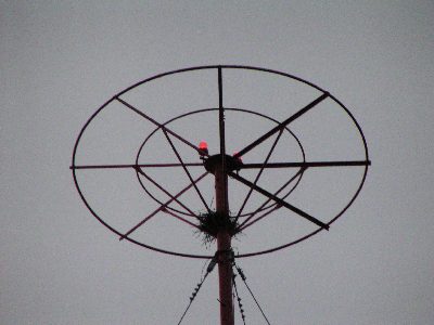 xabđ