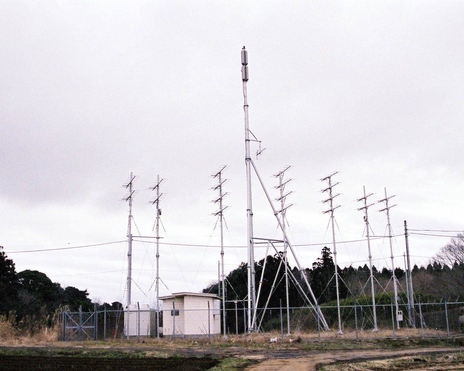 ������TV