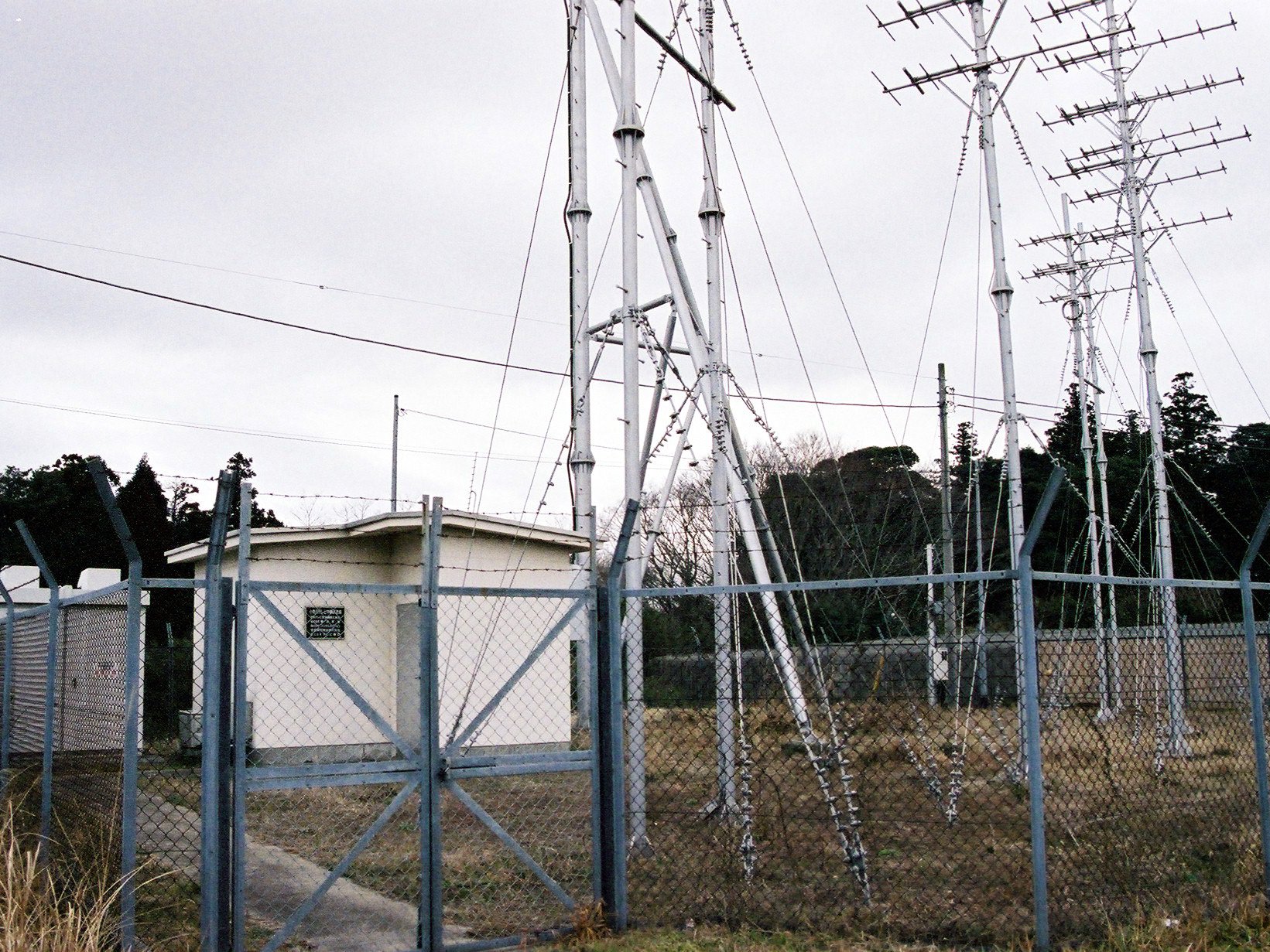 ������TV