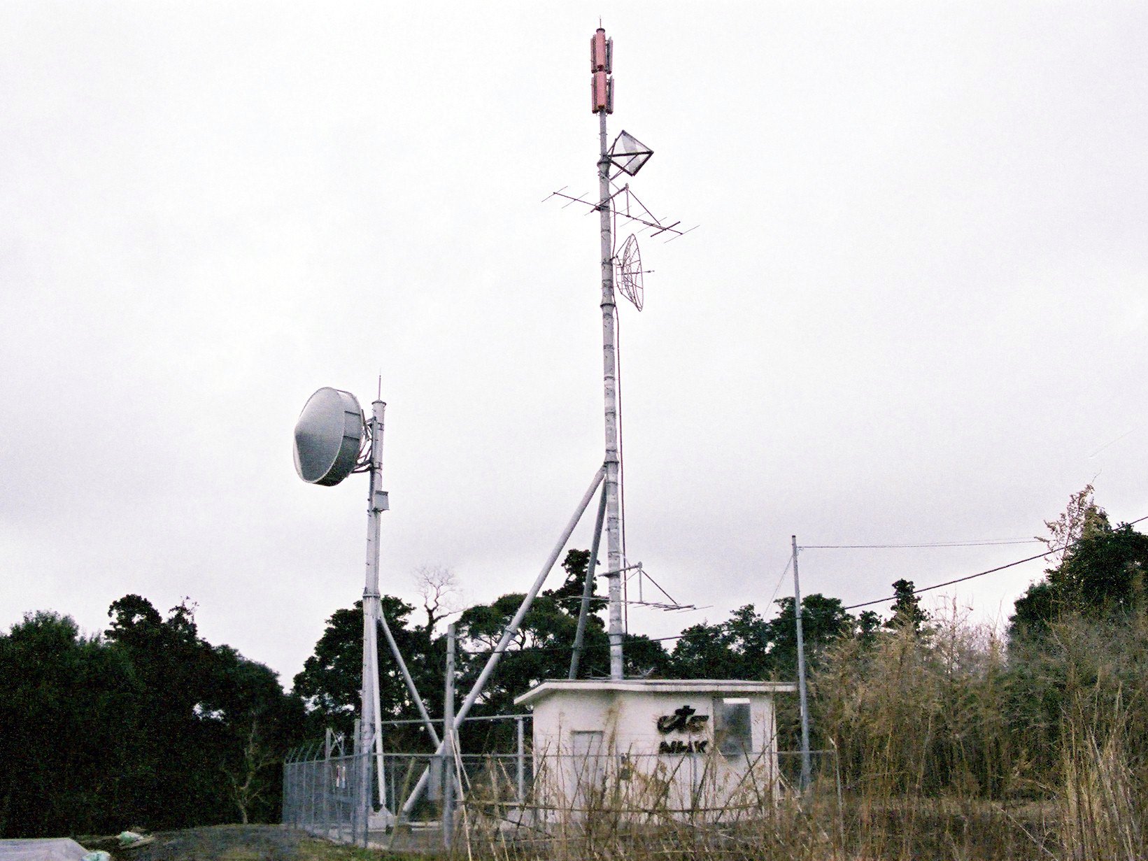 ������TV