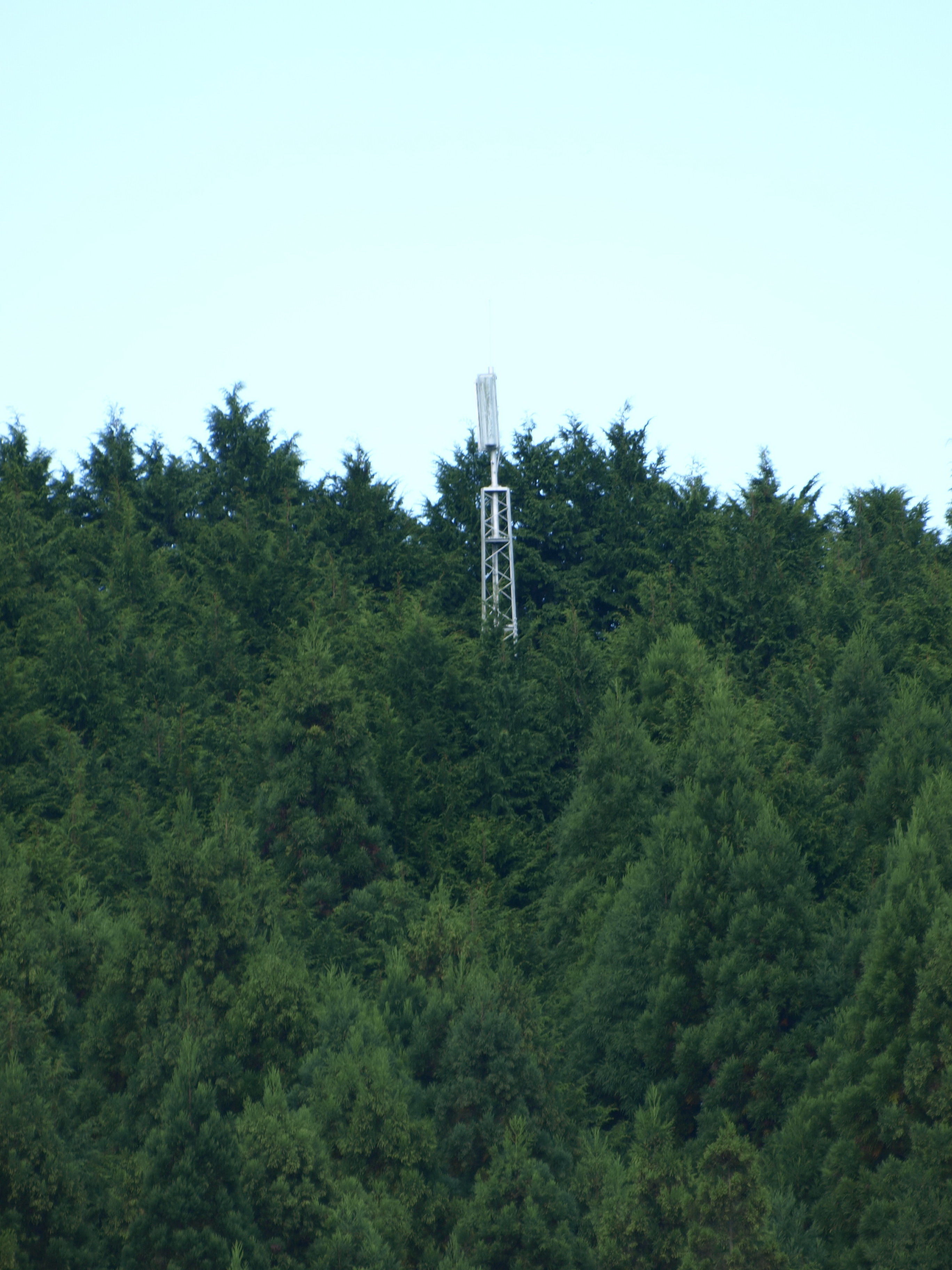 �������Y��TV