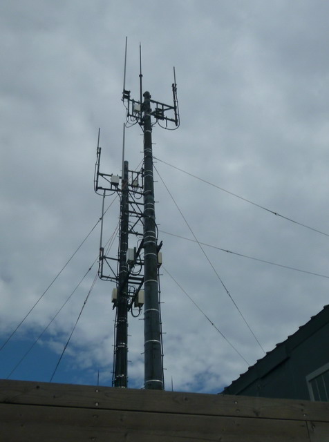 �l�b�`����